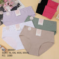 Culotte Femme Imprimée – Motifs Assortis – Réf. 097