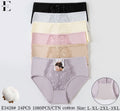 Culotte Femme Imprimée – Motifs Assortis – Réf. 186