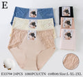 Culotte Femme Imprimée – Motifs Assortis – Réf. 195