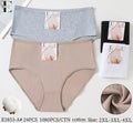Culotte Femme Imprimée – Motifs Assortis – Réf. 197