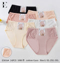 Culotte Femme Imprimée – Motifs Assortis – Réf. 199
