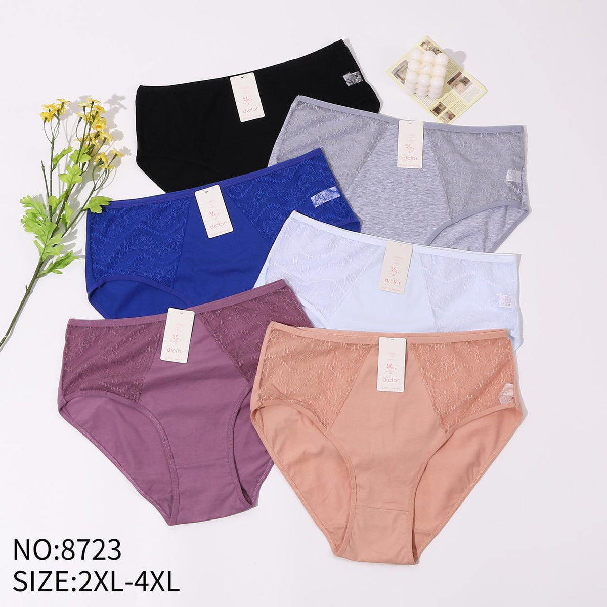 Culotte Femme Imprimée – Motifs Assortis – Réf. 223