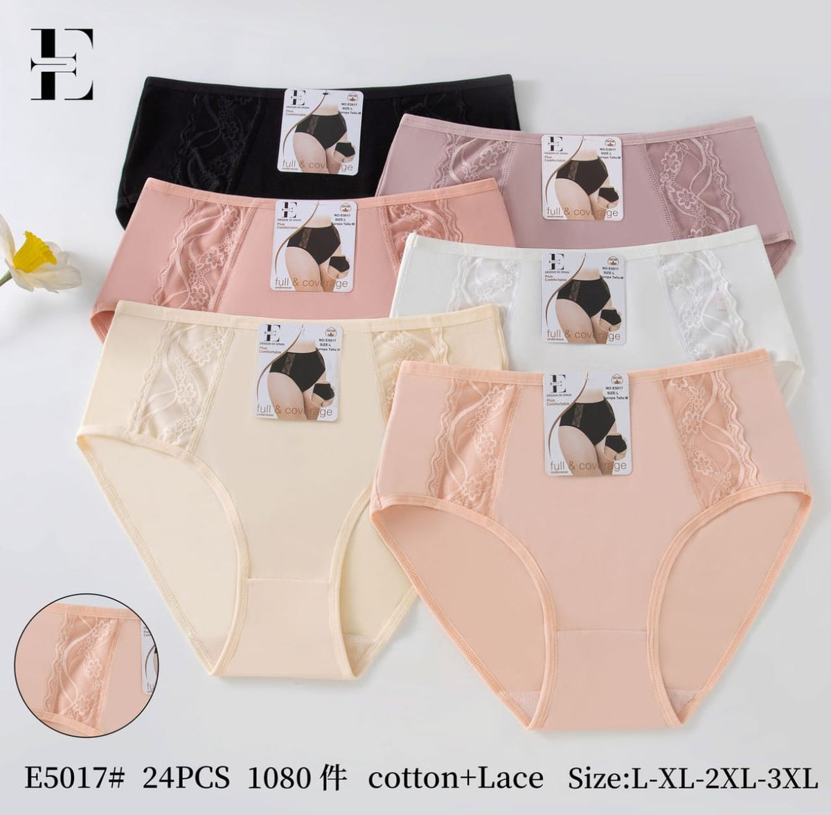Culotte Femme Imprimée – Motifs Assortis – Réf. 240